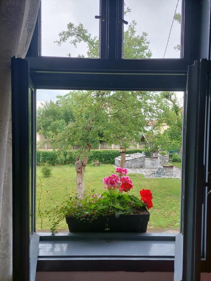 Apartmani Petkovic 226 Velika Drenova Exterior photo