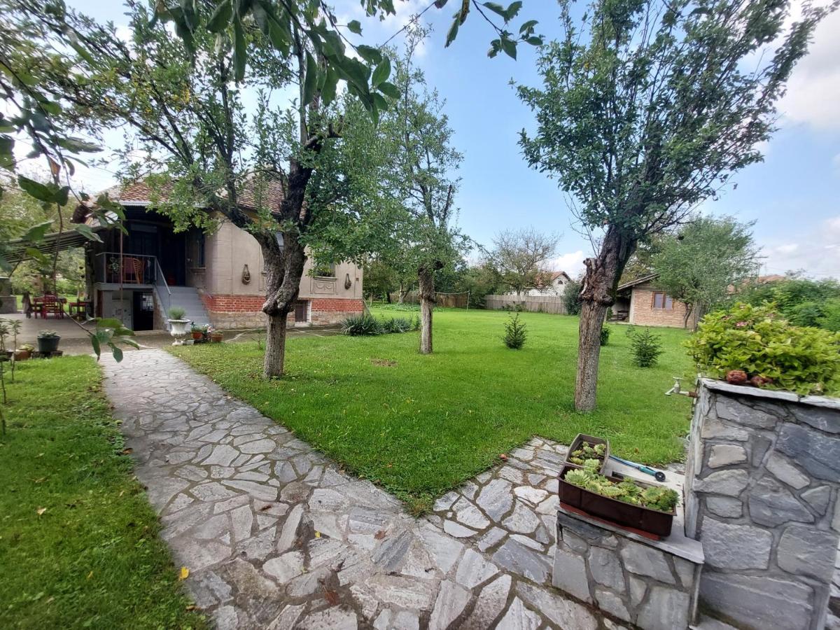 Apartmani Petkovic 226 Velika Drenova Exterior photo