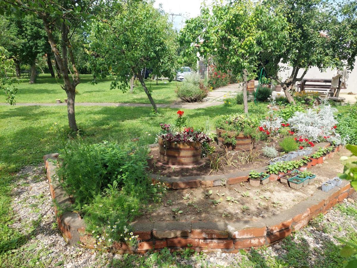 Apartmani Petkovic 226 Velika Drenova Exterior photo